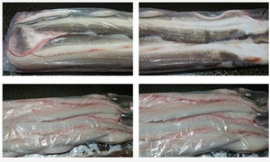 냉동아나고(1kg)