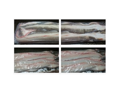 냉동아나고(1kg)